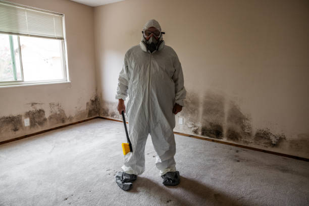 Selmer, TN Mold Remediation Company